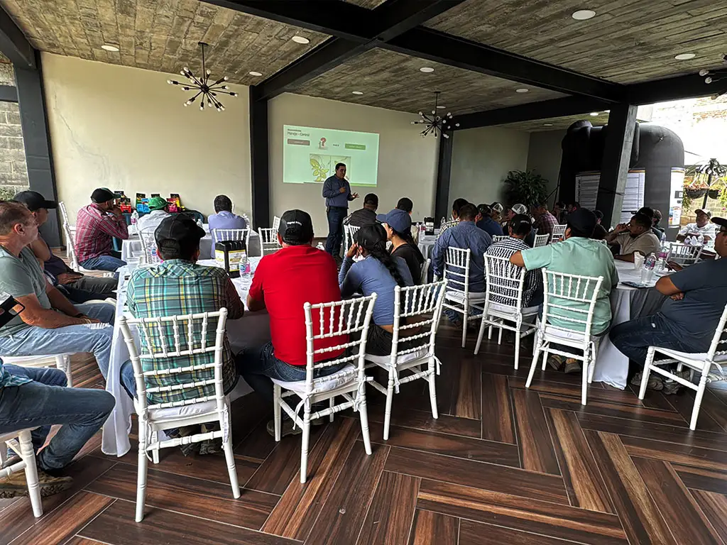 Soluciones innovadoras de estimulación vegetal